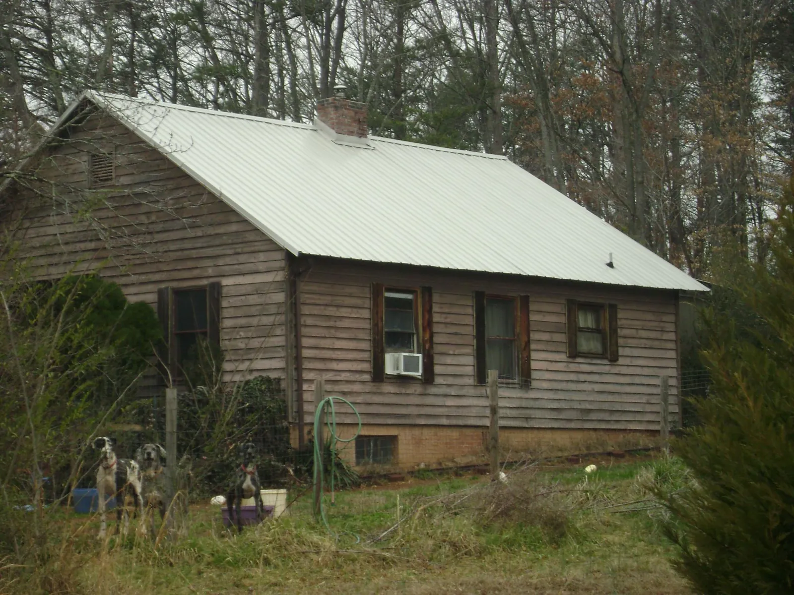 White metal roof on an old wood sided farmhouse, from a Asphalt Shingle Roof Repair job in Kents Store